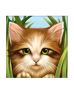 Набор алмазной вышивки Зеленоглазый котенок / АЖ-1640 Алмазная живопись
