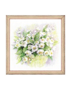 Набор для вышивания Акварельный жасмин / 1467 Риолис