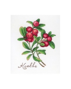 Набор для вышивания Дары природы. Клюква / НВ-649М М.п.студия