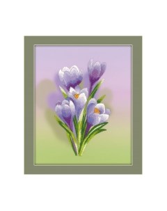 Набор для вышивания Крокусы, Гладь / РТ-0065 Риолис