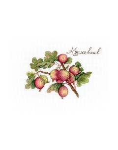 Набор для вышивания Дары природы. Крыжовник / НВ-634М М.п.студия