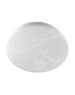 Потолочный светильник Reed GSMCL-019-24 / 800258 General lighting