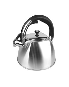 Чайник со свистком Astiat 3.0л AST1028