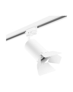 Трековый светильник Lightstar Rullo R1T436436