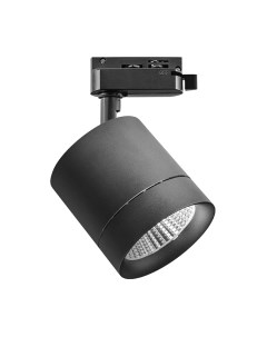 Трековый светильник Lightstar Canno 301274