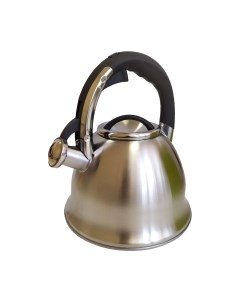 Чайник со свистком AST1016 Astiat