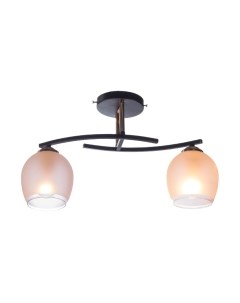 Потолочный светильник Aitin-Pro НПБ 02-2x60-101 / XA1587B/2 Aitin-pro