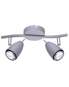 Светильник наст.-пот./спот Regista A1966AP-2GY (2*50Вт, GU10) Arte lamp