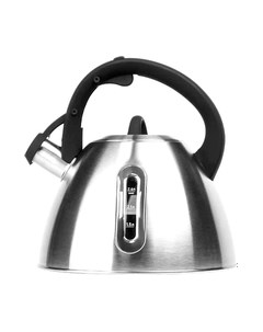 Чайник со свистком Lara LR00-89