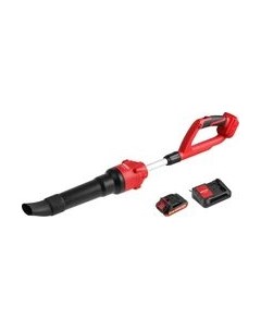 Воздуходувка аккумуляторная Wortex BB 2018-1 D ALL1 с акб и з/у / 1334646