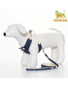 Комплект с мягкой шлейкой «Якорь», размер M, поводок, 120×1.5 см, ОГ 34-66 см, синий Пижон