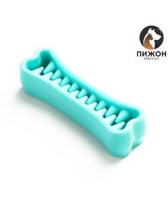 Игрушка-зубочистка для собак Premium «Зубастик», 12×3.8 см, мятная Пижон