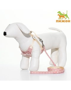 Комплект с мягкой шлейкой «Горох», размер М, поводок 120×1.5 см, ОГ 34-66 см, розовый Пижон