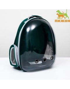 Рюкзак для переноски животных прозрачный, 31×28×42 см, сине-зелёный Пижон