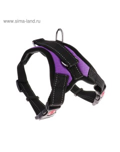 Шлейка К7 мягкая светоотражающая, размер М, ОГ 52-66 см, вес 9.5-17.5 кг, фиолетовая Пижон