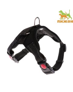 Шлейка К7 мягкая светоотражающая, размер XL, ОГ 74-92 см, вес 28-47.5 кг, черная Пижон