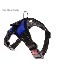 Шлейка К7 мягкая светоотражающая, размер М, ОГ 52-66 см, вес 9.5-17.5 кг, синяя Пижон