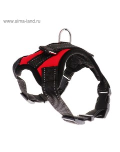 Шлейка К7 мягкая светоотражающая, размер М, ОГ 52-66 см, вес 9.5-17.5 кг, красная Пижон