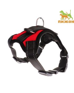 Шлейка К7 мягкая светоотражающая, размер XL, ОГ 74-92 см, вес 28-47.5 кг, красная Пижон