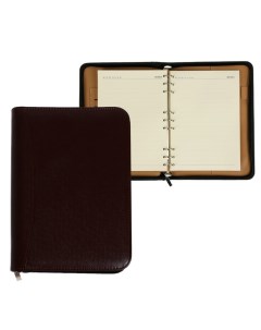 Ежедневник-органайзер, А5, 96 листов, на молнии, обложка из искусственой кожи, МИКС Calligrata