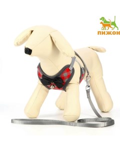 Комплект амуниции с мягкой шлейкой, М, поводок 120 х 1 см,ОШ 28-48 см,ОГ 32-52см,красный Пижон