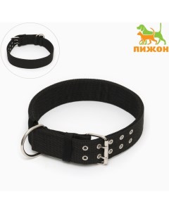 Ошейник четырехслойный, 80×4.9 см, ОШ 65-75 см, полиэстер, чёрный Пижон