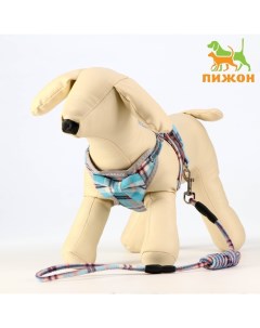 Комплект амуниции с мягкой шлейкой, поводок 120×1 см, ОШ 28-54 см, ОГ 36-60 см, серо-голубой Пижон