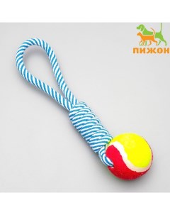 Игрушка канатная плетёная с мячом, до 130 г, до 33 см, микс цветов Пижон