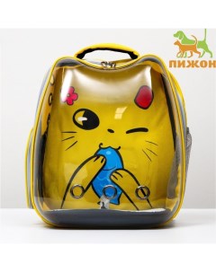Рюкзак для переноски кошек«Котик», прозрачный, 34×25×40 см, жёлтый Пижон