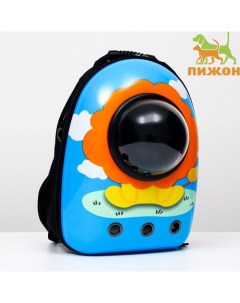 Рюкзак для переноски кошек и собак «Лев», с окном, 32×25×42 см, голубой Пижон