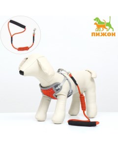 Комплект амуниции с мягкой дышащей шлейкой и круглым поводком 120 х 1 см, красный Пижон