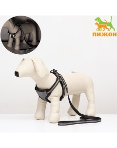 Комплект амуниции светоотражающий, размер S, ОГ 35-60 см, стропа 1.5 см, серый Пижон