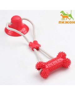 Игрушка для собак «Кость на присоске», 40 см, красная Пижон