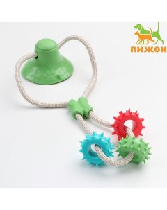 Игрушка для собак «Кольца с шипами на присоске», 40 см, зелёная/голубая/красная Пижон