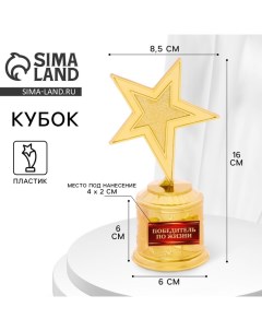 Кубок наградной «Победитель по жизни», фигура звезда литая, золото, пластик, 16×8.5×6 см Сима-ленд