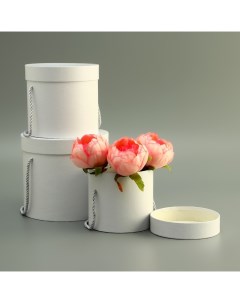 Набор коробок 3 в 1, белый, 18 × 18 × 17 - 12×12×12 см Upak land