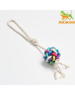 Игрушка канатная с жевательными элементами «Молекула на канате», до 40 см, до 90 г, микс Пижон