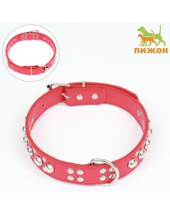 Ошейник "Сириус", кожзам с заклёпками, 56 х 3 см, ОШ 42-52, красный Пижон