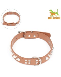Ошейник "Сириус", кожзам с заклёпками, 56 х 3 см, ОШ 42-52, коричневый Пижон