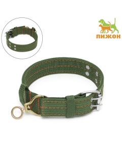 Ошейник четырехслойный с вертлюгом, 65×4 см, ОШ 54-60 см, полиэстер, зелёный Пижон