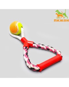 Игрушка тренировочная канатная «Качель с мячом», до 160 г, до 27 см, микс цветов Пижон