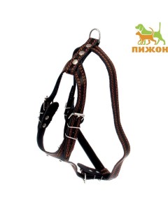 Шлейка кожаная «Караульная», 2.5 см, ОШ40-66 см, ОГ 81-100 см, чёрный Пижон