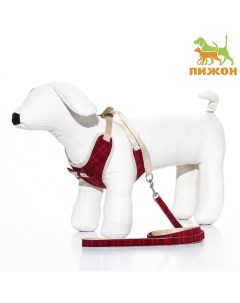 Комплект с мягкой шлейкой «Клетки», размер S, поводок, 120×1.5 см, ОГ 28-62 см, красный Пижон