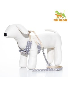 Комплект с мягкой шлейкой «Горох», размер L, поводок 120×1.5 см, ОГ 42-76 см, серый Пижон