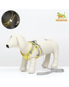 Комплект с мягкой шлейкой, быстросъемный, XS поводок 150×1.5 см, ОШ 29-32 ОГ 31-34 см, жёлтый Пижон