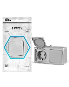 Блок, Dita (розетка 16А, 250В, с з/к + 1-кл. выкл. 10А), IP54, серый, TKL-DT-V1RZ-C06 Tokov electric