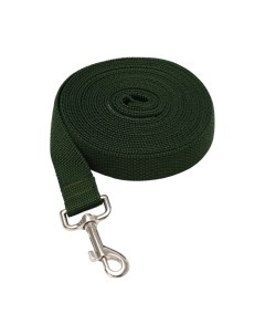 Поводок 5 м × 2.5 см, зелёный Пижон