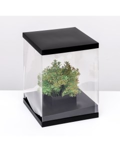 Коробка для цветов с вазой и PVC окнами, складная, 23×30×23 см, чёрный Upak land