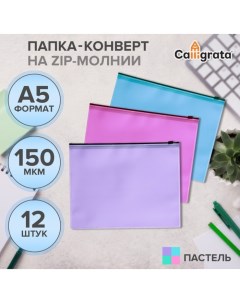 Набор папок-конверт на ZIP-молнии А5, 150 мкм, Pastel, c черной молнией, полупрозрачные, пастель, 12 штук, микс Calligrata