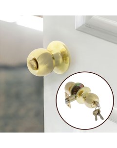 Защелка 1303, с ключом, цвет золото Tundra